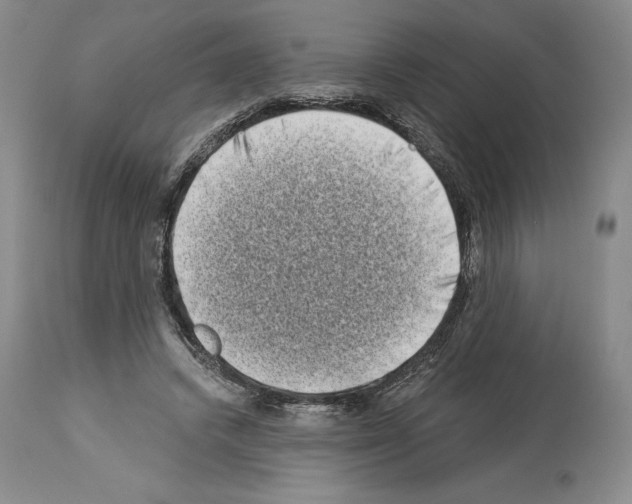 X0000113940448200911061245