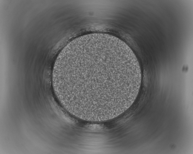 X0000113940449200911061245