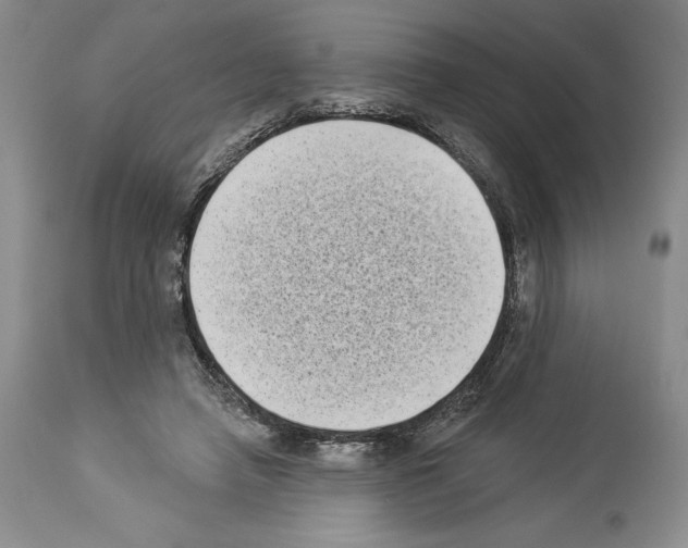 X0000113940450200911061245