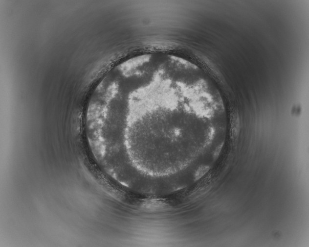 X0000113940451200911061245