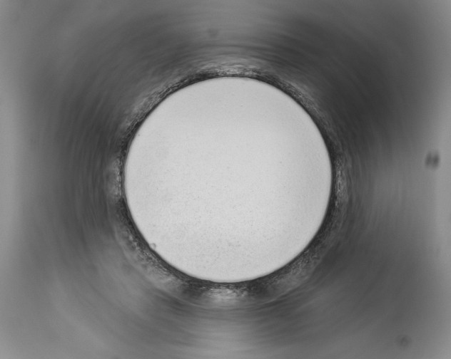 X0000113940453200911061245