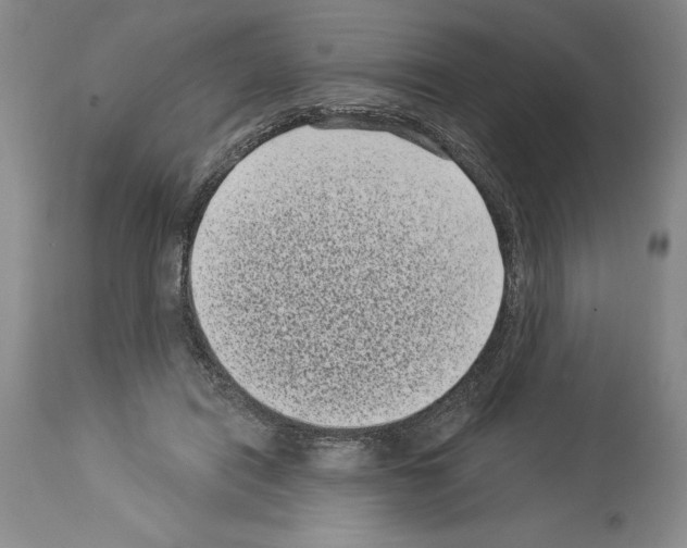 X0000113940454200911061245
