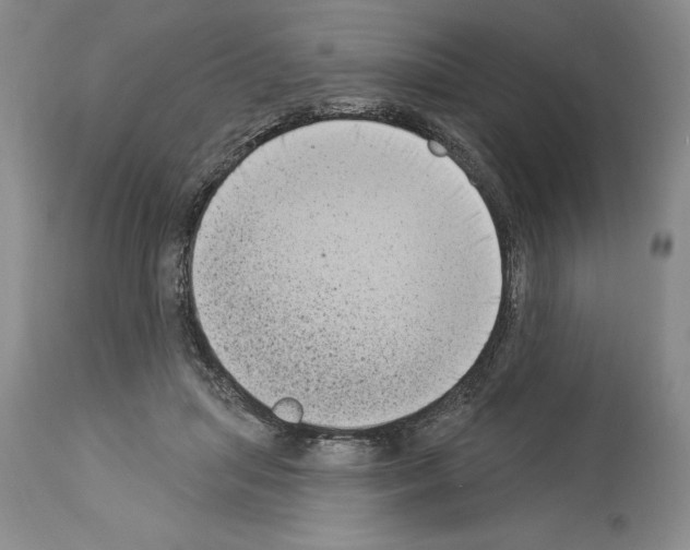 X0000113940455200911061245