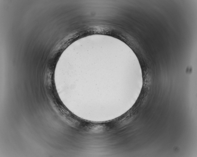 X0000113940456200911061245