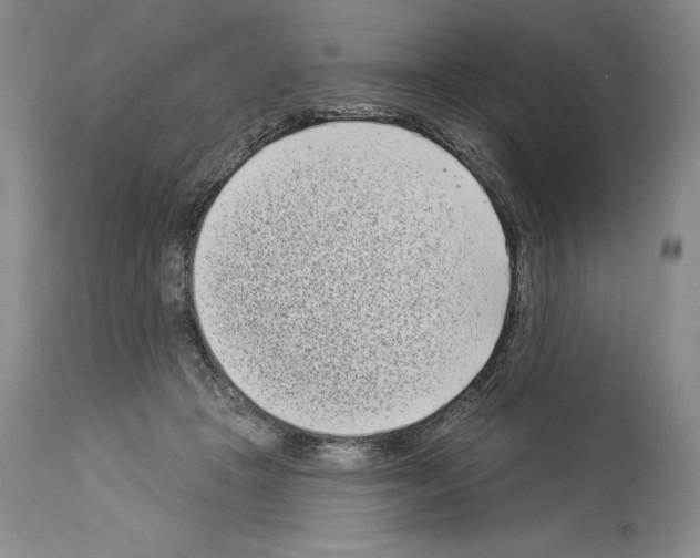 X0000113940457200911061245