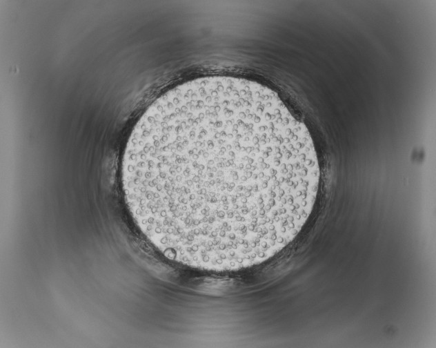 X0000113940458200911061245