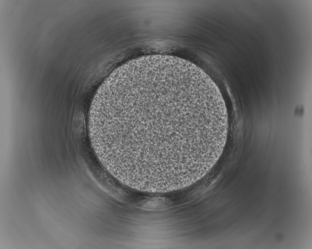 X0000113940459200911061245