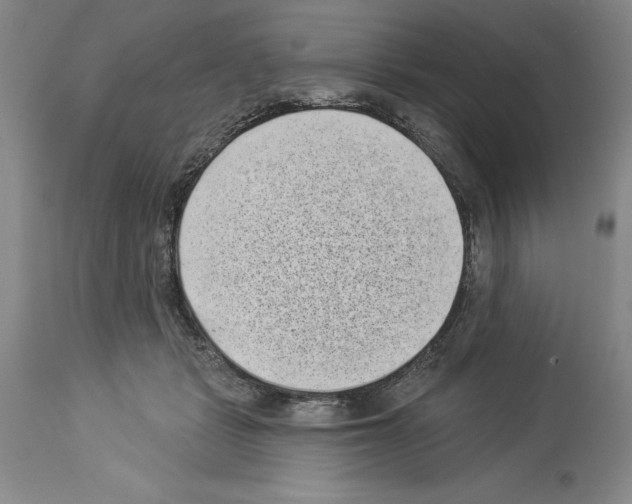 X0000113940461200911061245