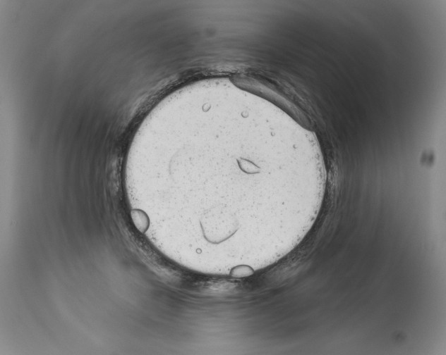 X0000113940462200911061245