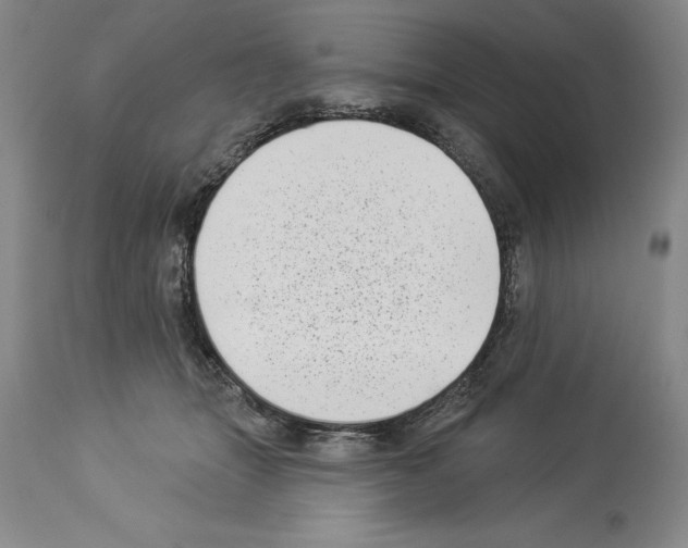X0000113940463200911061245
