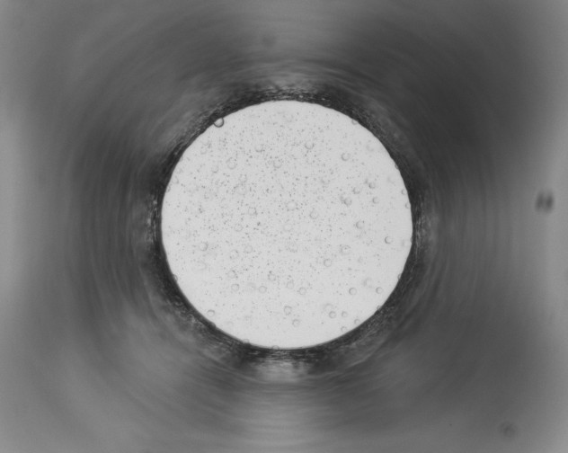 X0000113940464200911061245