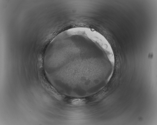 X0000113940465200911061245