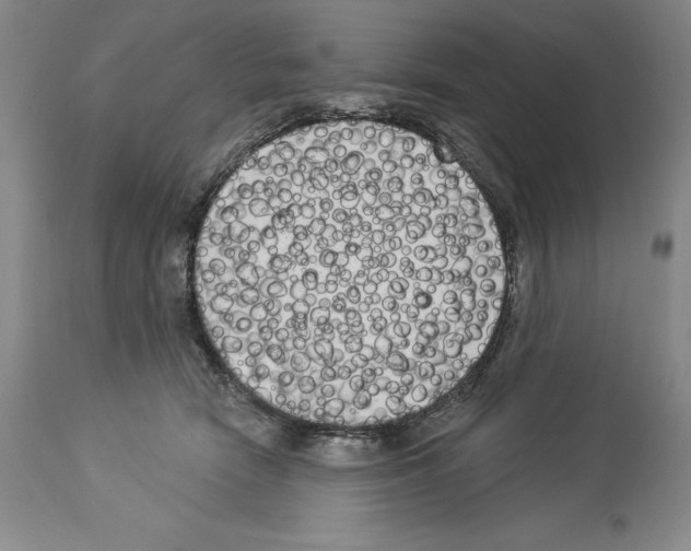 X0000113940466200911061245