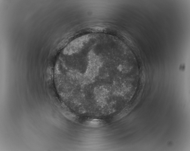 X0000113940467200911061245