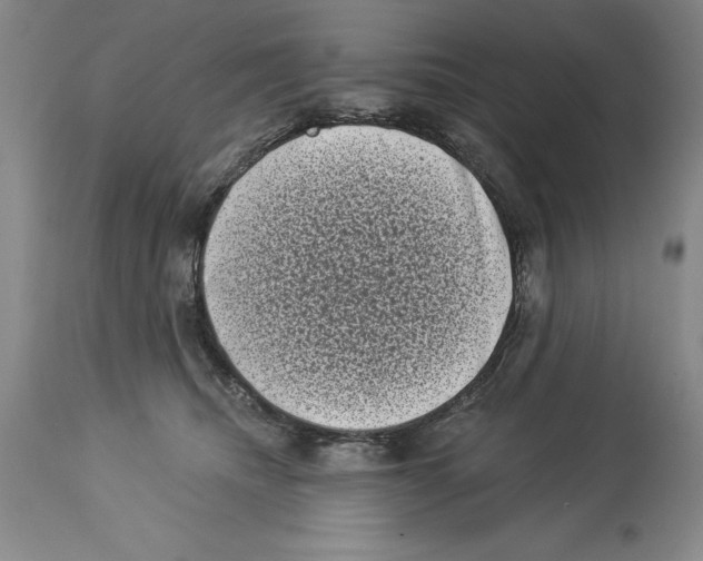 X0000113940468200911061245