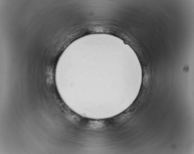 X0000113940469200911061245