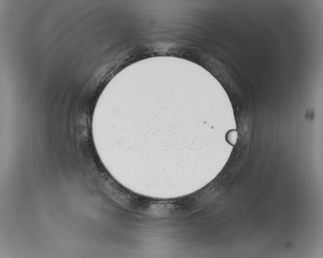 X0000113940470200911061245