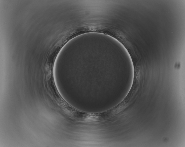 X0000113940471200911061245