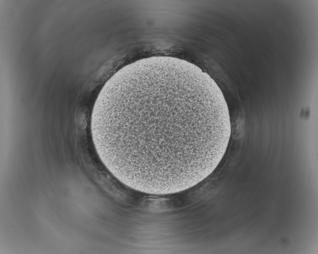 X0000113940472200911061245