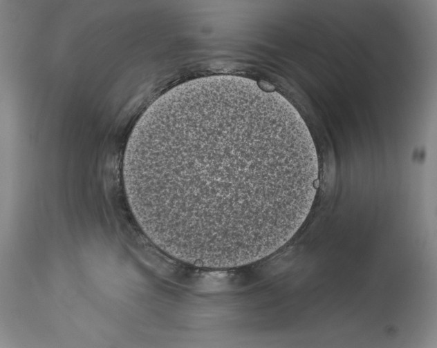 X0000113940473200911061245