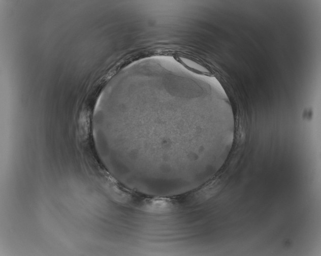 X0000113940475200911061245