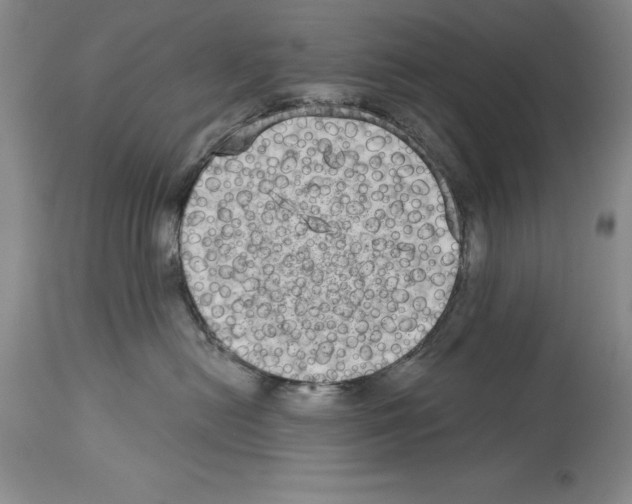 X0000113940478200911061245