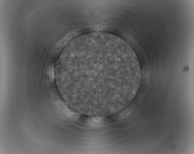 X0000113940479200911061245