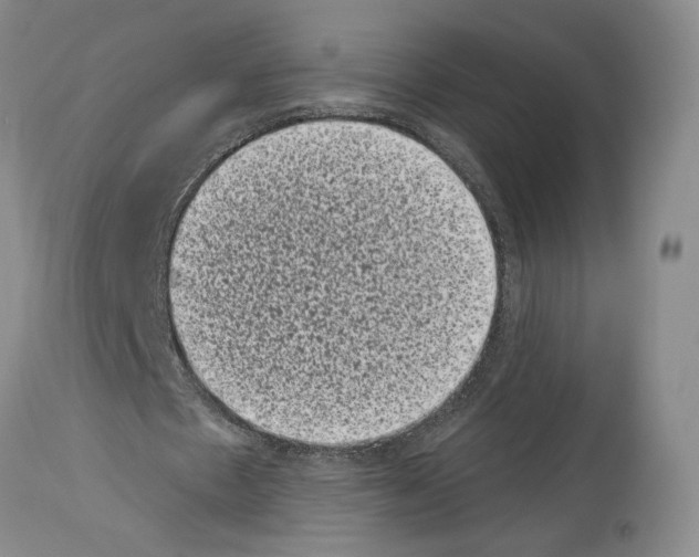 X0000113940481200911061245