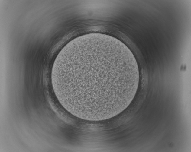 X0000113940482200911061245