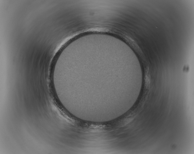X0000113940484200911061245