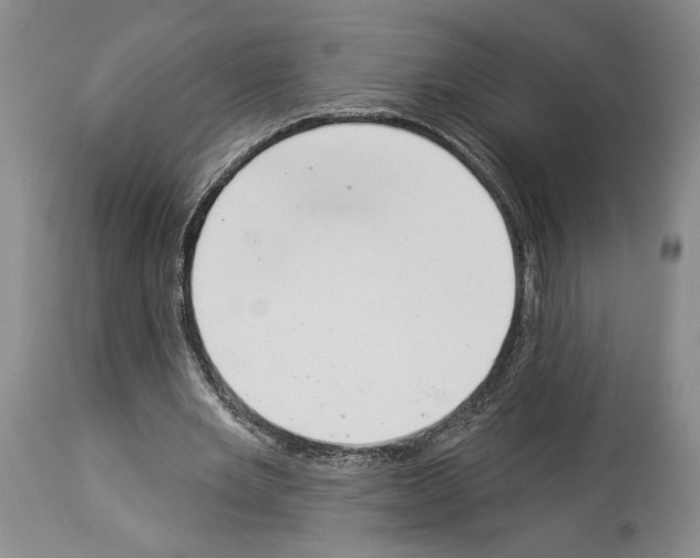 X0000113940485200911061245