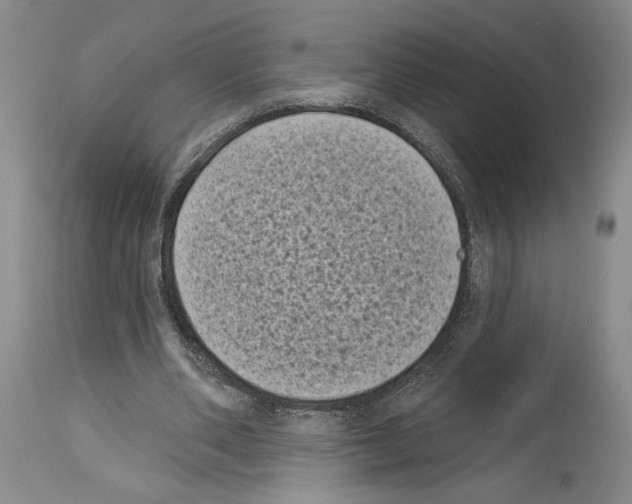 X0000113940486200911061245