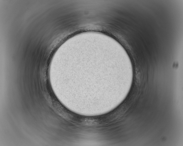 X0000113940487200911061245