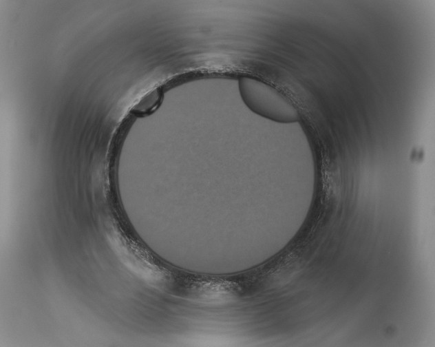 X0000113940488200911061245