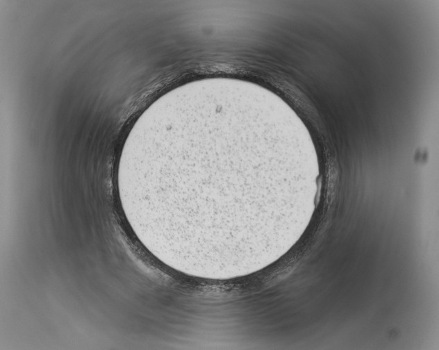 X0000113940489200911061245