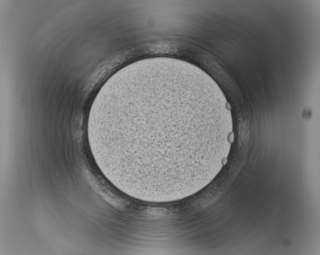 X0000113940490200911061245