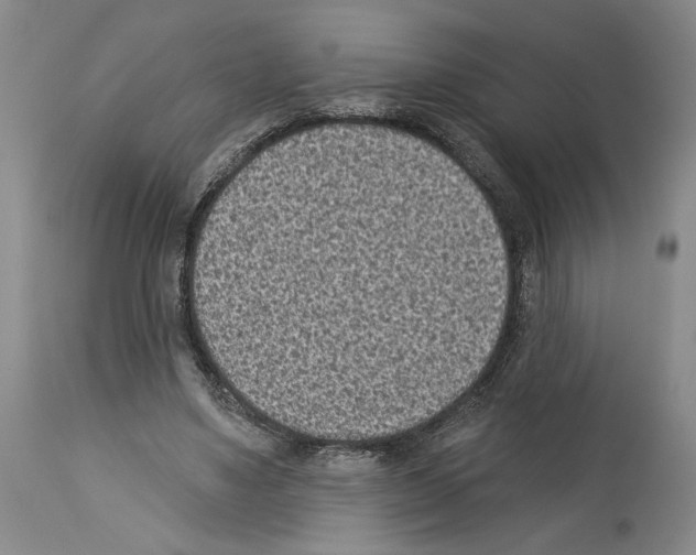 X0000113940491200911061245