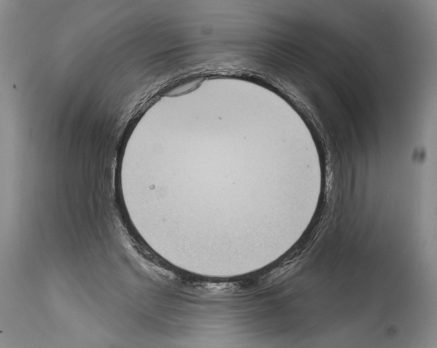 X0000113940493200911061245