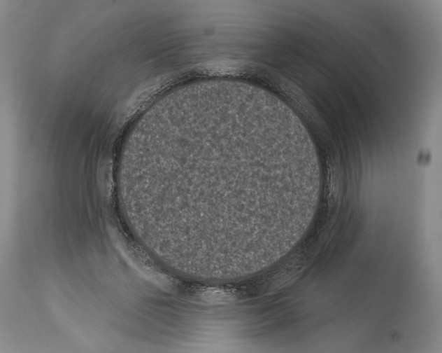 X0000113940494200911061245