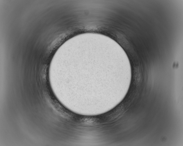 X0000113940495200911061245