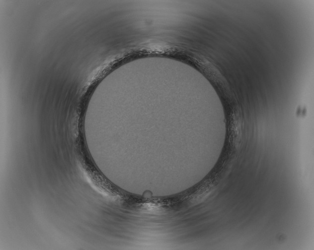 X0000113940496200911061245