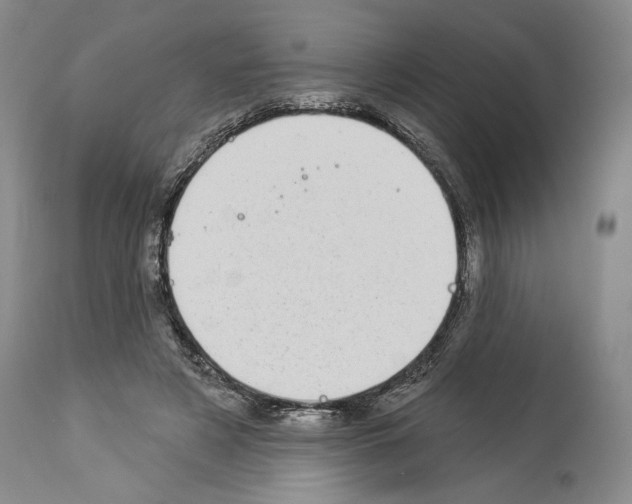 X0000113940497200911061245