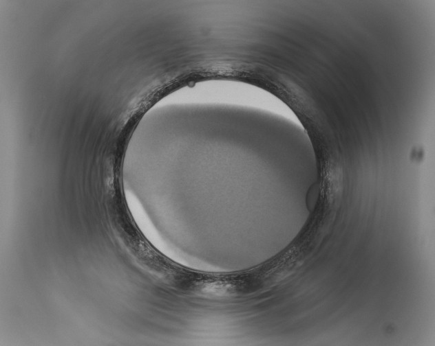 X0000113940500200911061245