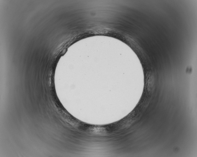 X0000113940501200911061245