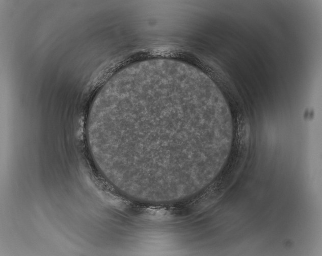 X0000113940502200911061244
