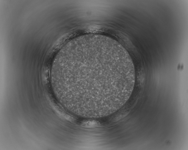 X0000113940503200911061244