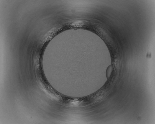 X0000113940504200911061244