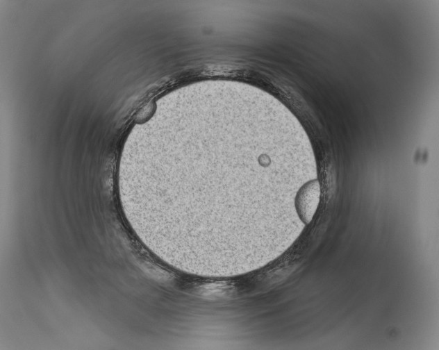 X0000113940505200911061244