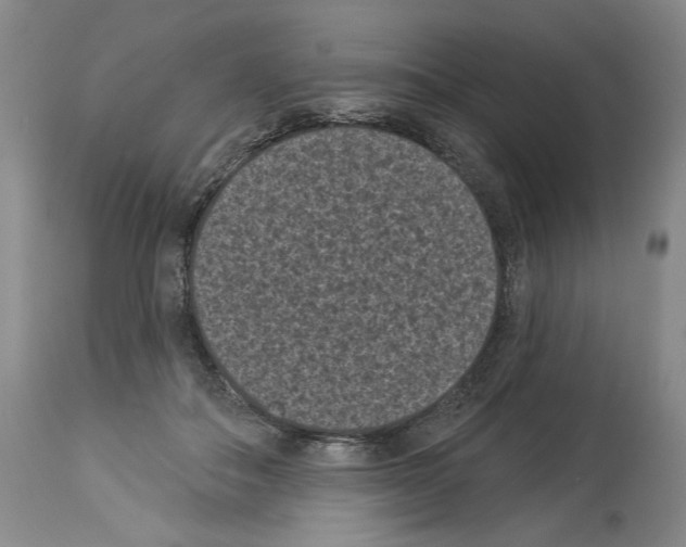 X0000113940506200911061244