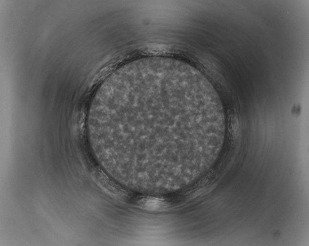 X0000113940507200911061244